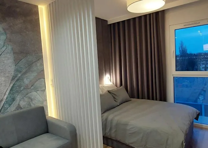 Centrum Wigury Parking Dostep Na Kod Blisko Galeria Lodzka, Piotrkowska, Jednorozec وودج